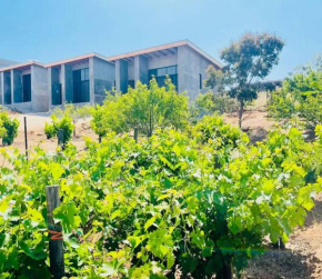 Finca 3-18 Valle de Guadalupe